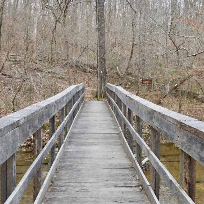 Near Montgomery Bell Trail Near Montgomery Bell Trail
