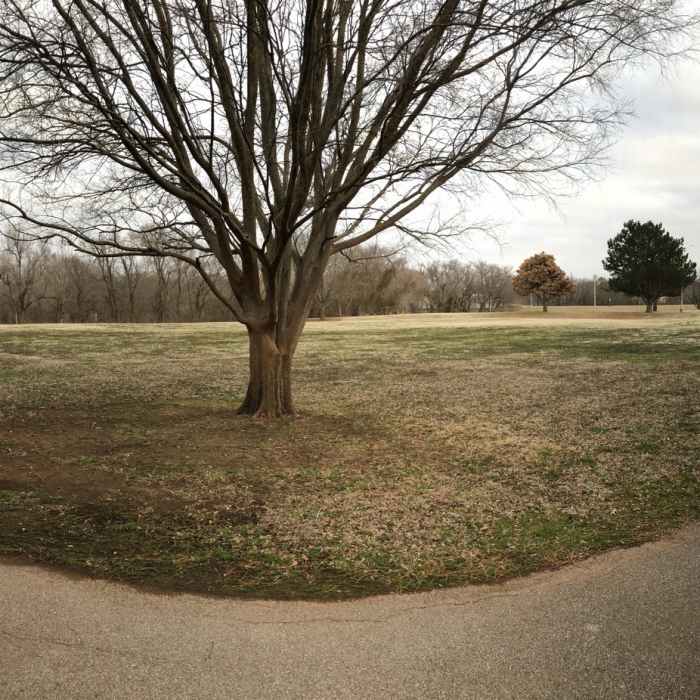 Near Century Park Path