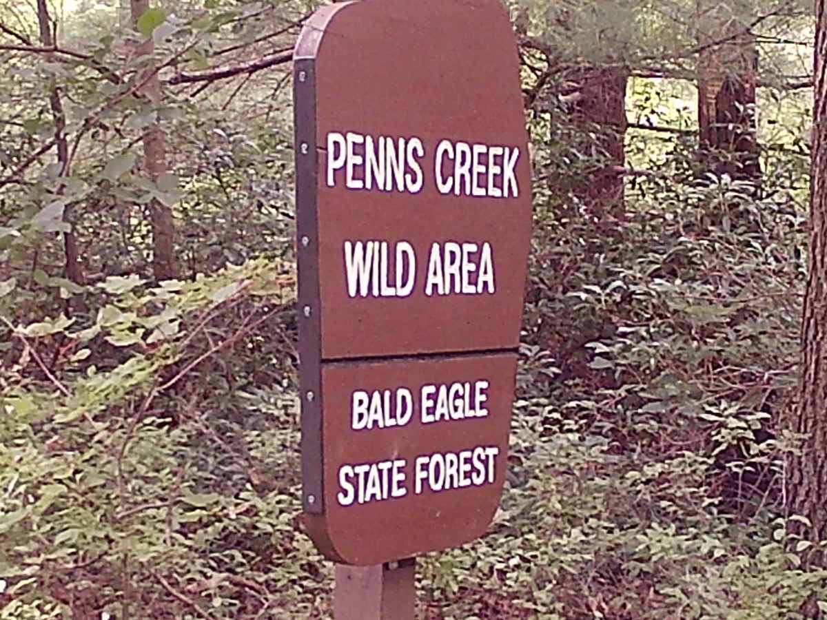 Lick Hollow Road photo 2