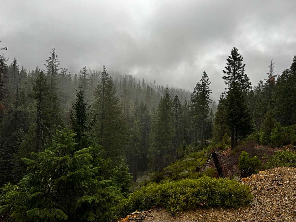 Screwauger Trail photo 3