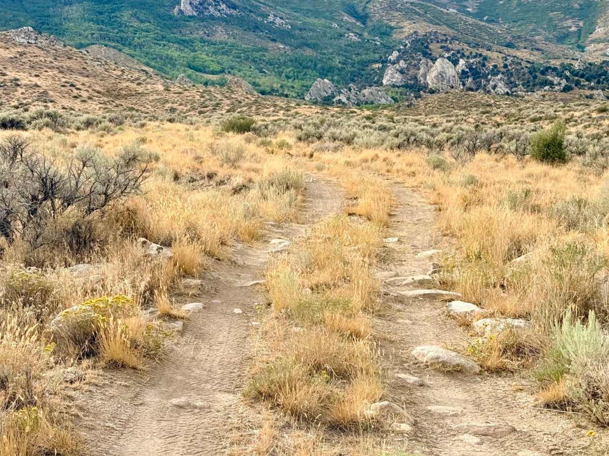 Tipton Canyon - FS 57831 photo 3