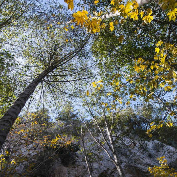 Near Switzer Falls Hike via Gabrielino Trail
