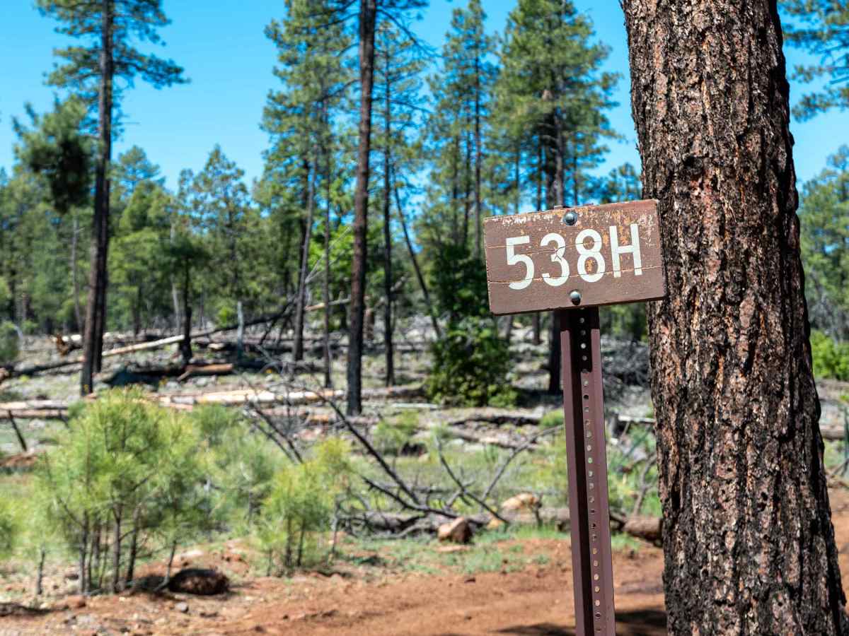 Winter Cabin - FS 538H trail photo