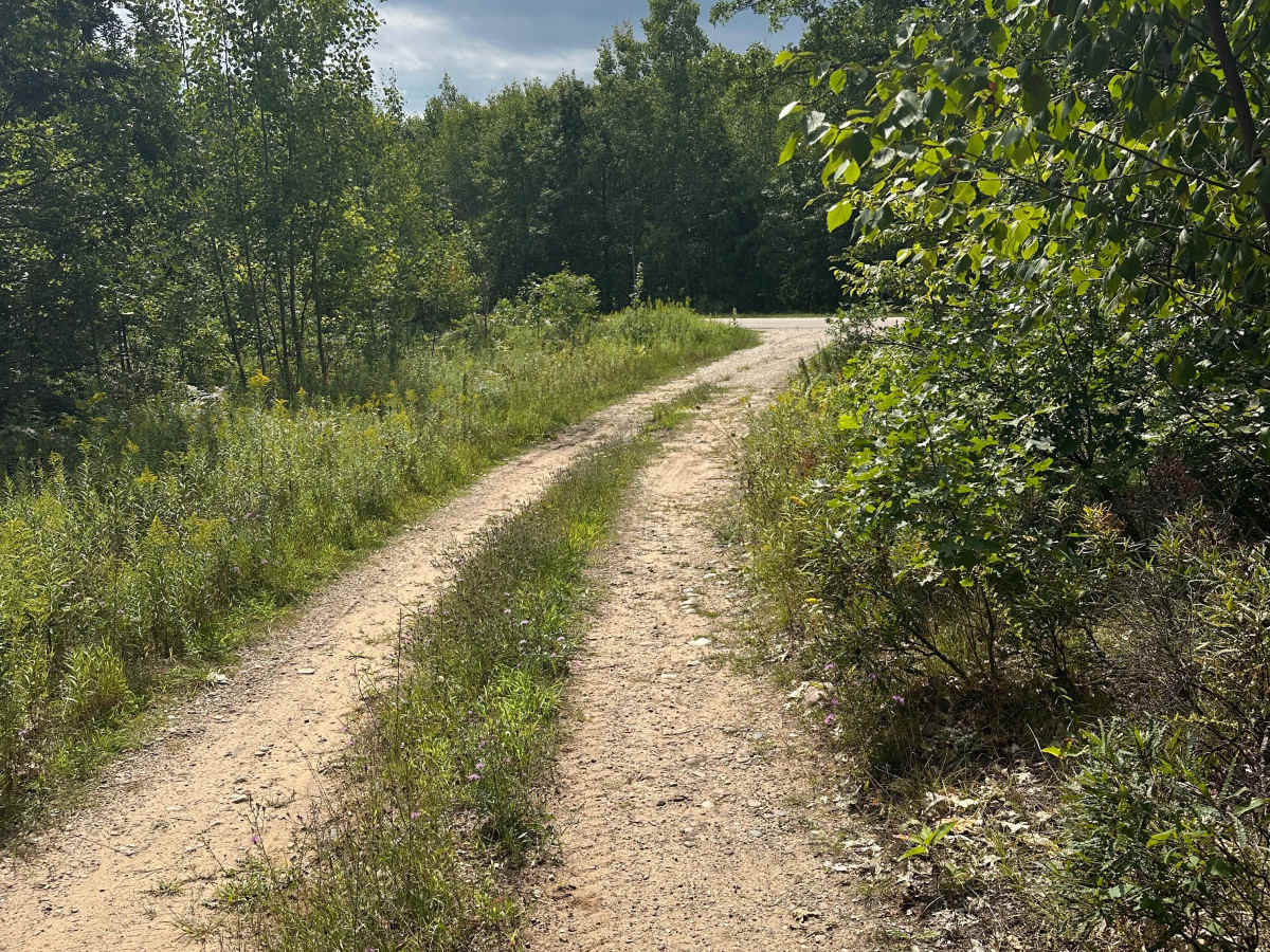 Cavanagh Spur trail photo
