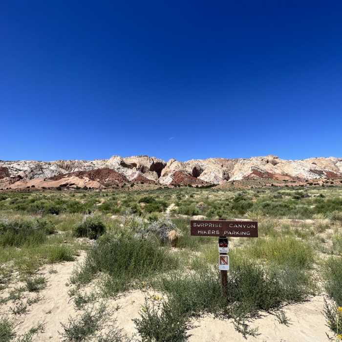 Near Surprise Canyon Trail