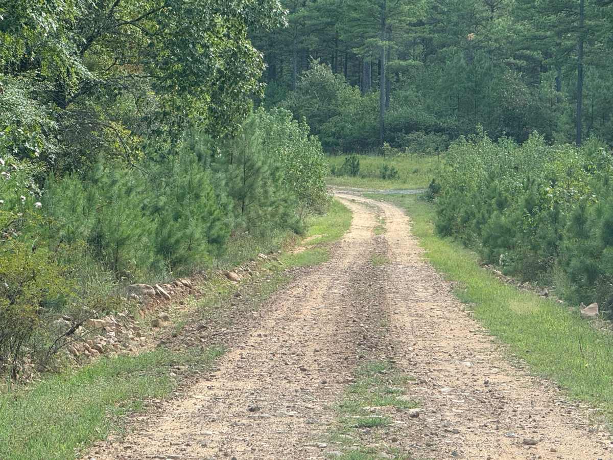 Polk Road 70 photo 2