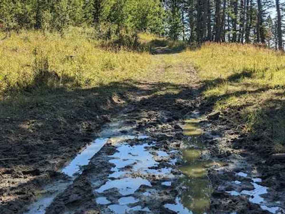 Porcupine Hills Trail  32 photo 5