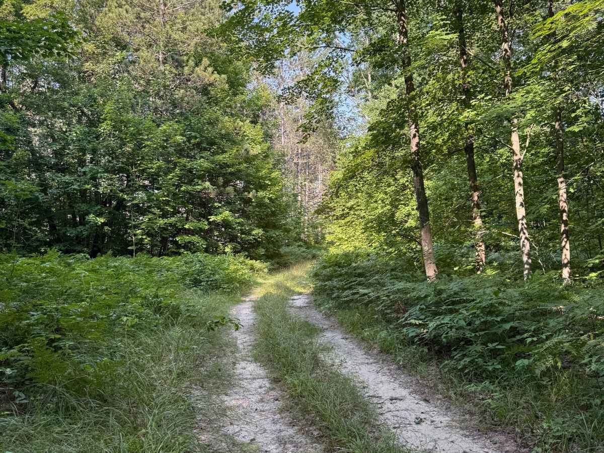 Healy-Henry South Trail trail photo