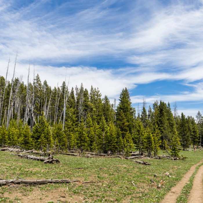 Near Cascade Lake Trail