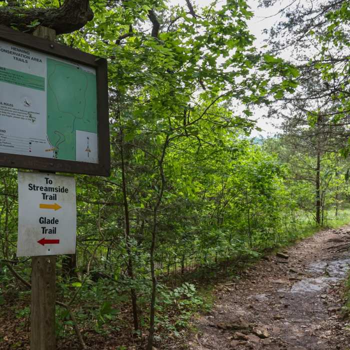 Near Streamside Trail