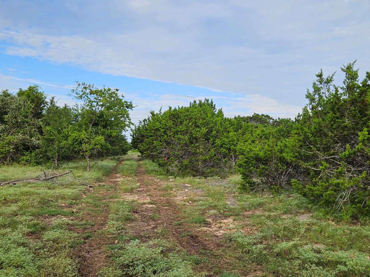 2225 Spur photo 3