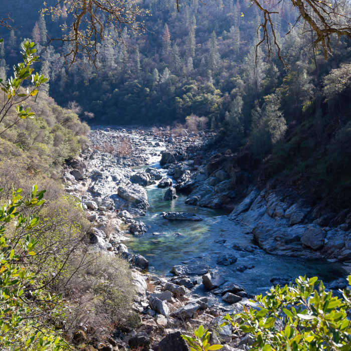 Near Buttermilk Bend Trail