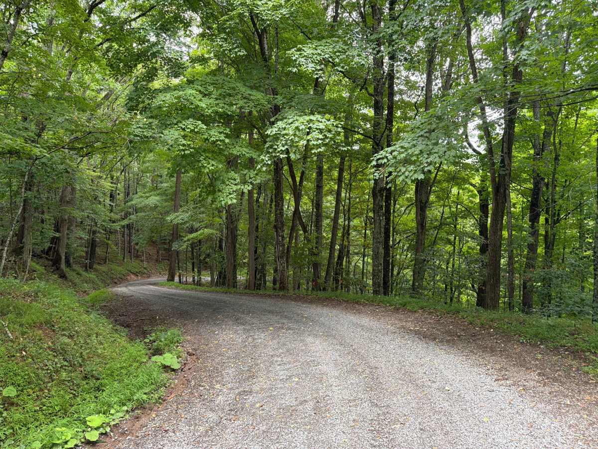 George Hill Road photo 6