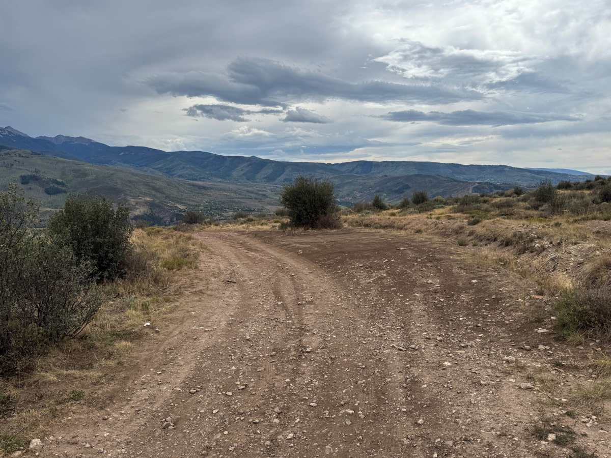 Berry Creek Road trail photo