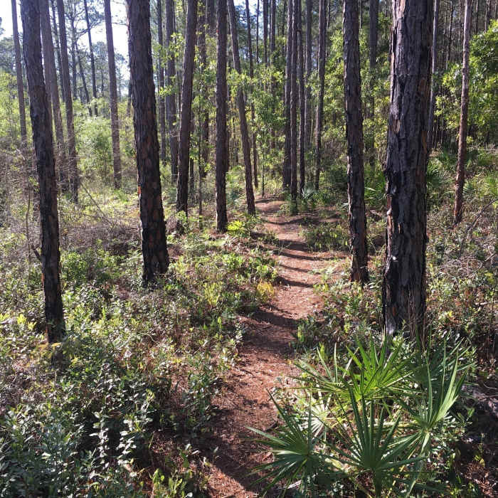 Near Crooked Creek Bike Trail