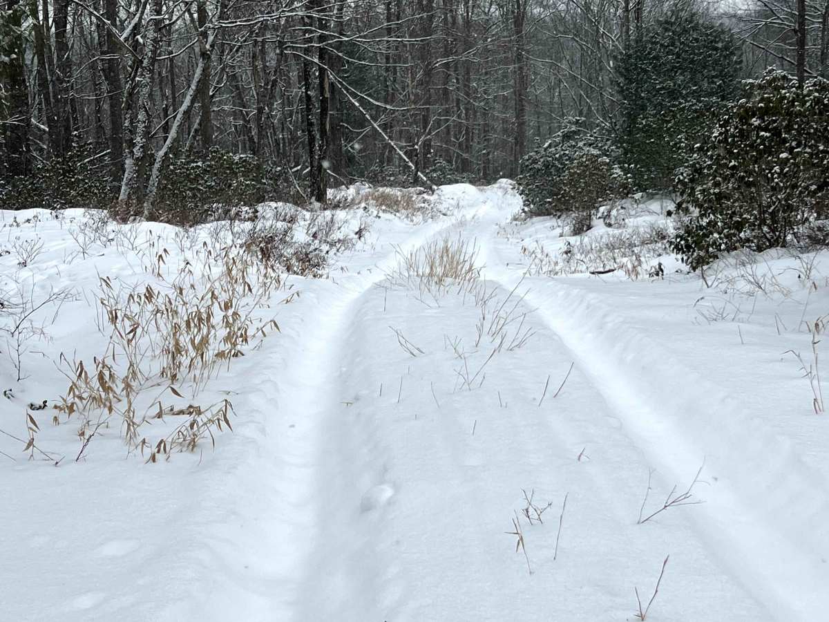 Mill Run Trail photo 5