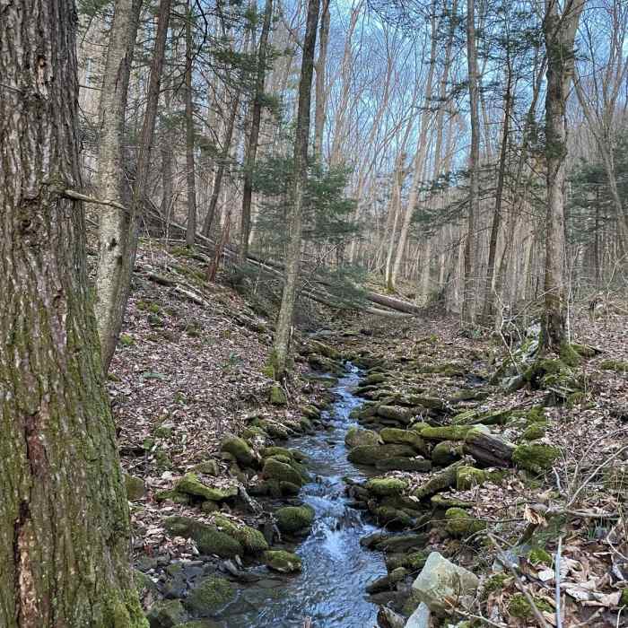 Near Painter Run Trail