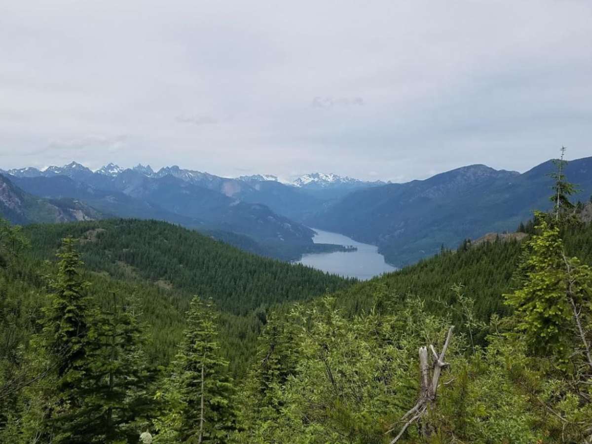 Amabilis Mtn Summit trail photo
