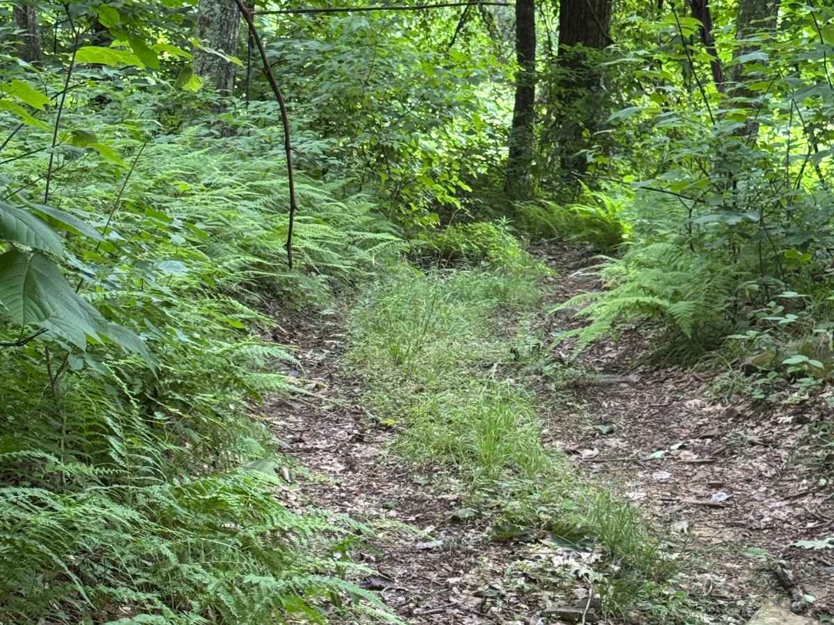 Trail 27 photo 3