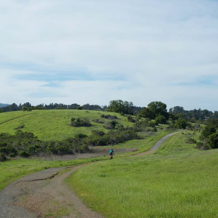 Near Bowl Loop
