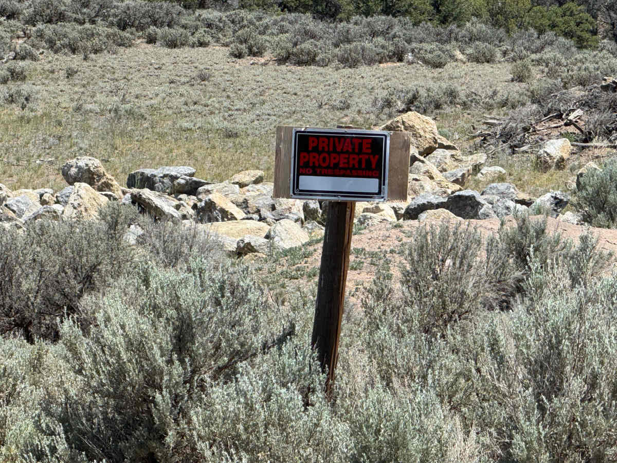 Trail Gulch Road 6 photo 6