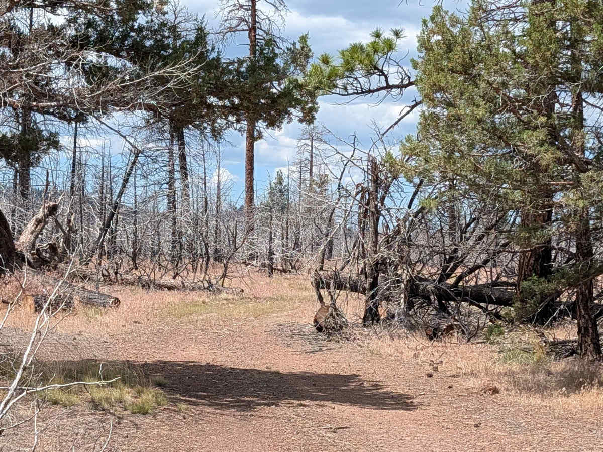 Porterfield Ranch photo 2