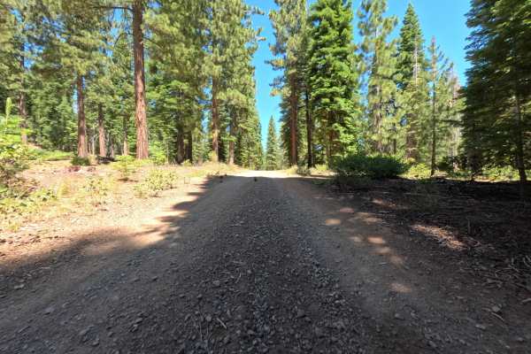 Bald Mountain Road