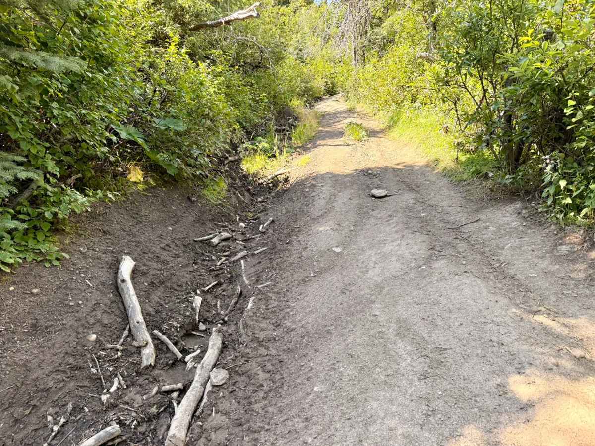 Mount Hamell Route photo 4
