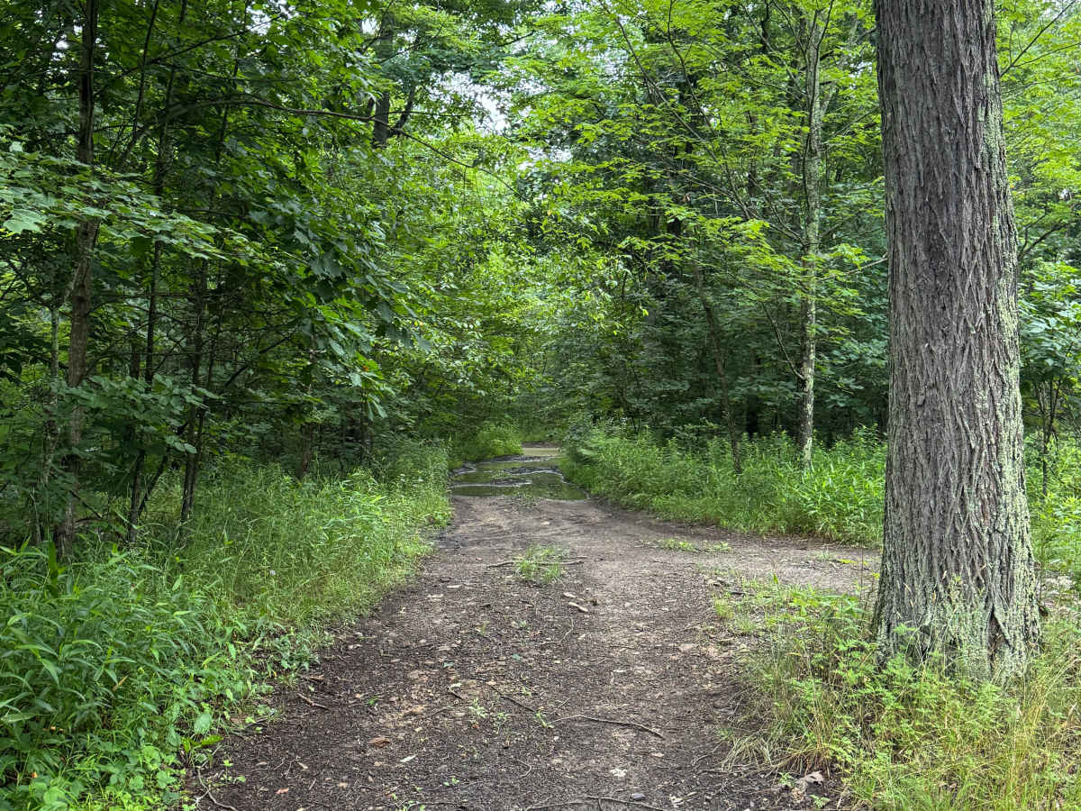 Trail 1 photo 2