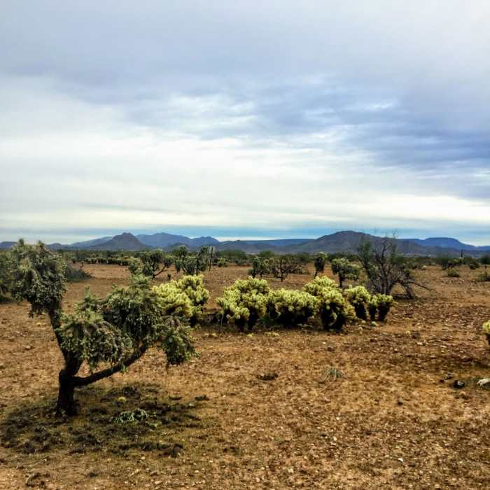 Near Black Canyon Trail: Emery Henderson to Highway 74