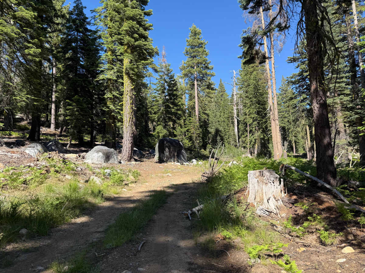 Wilson Meadows Road -  FS 11N37F photo 5