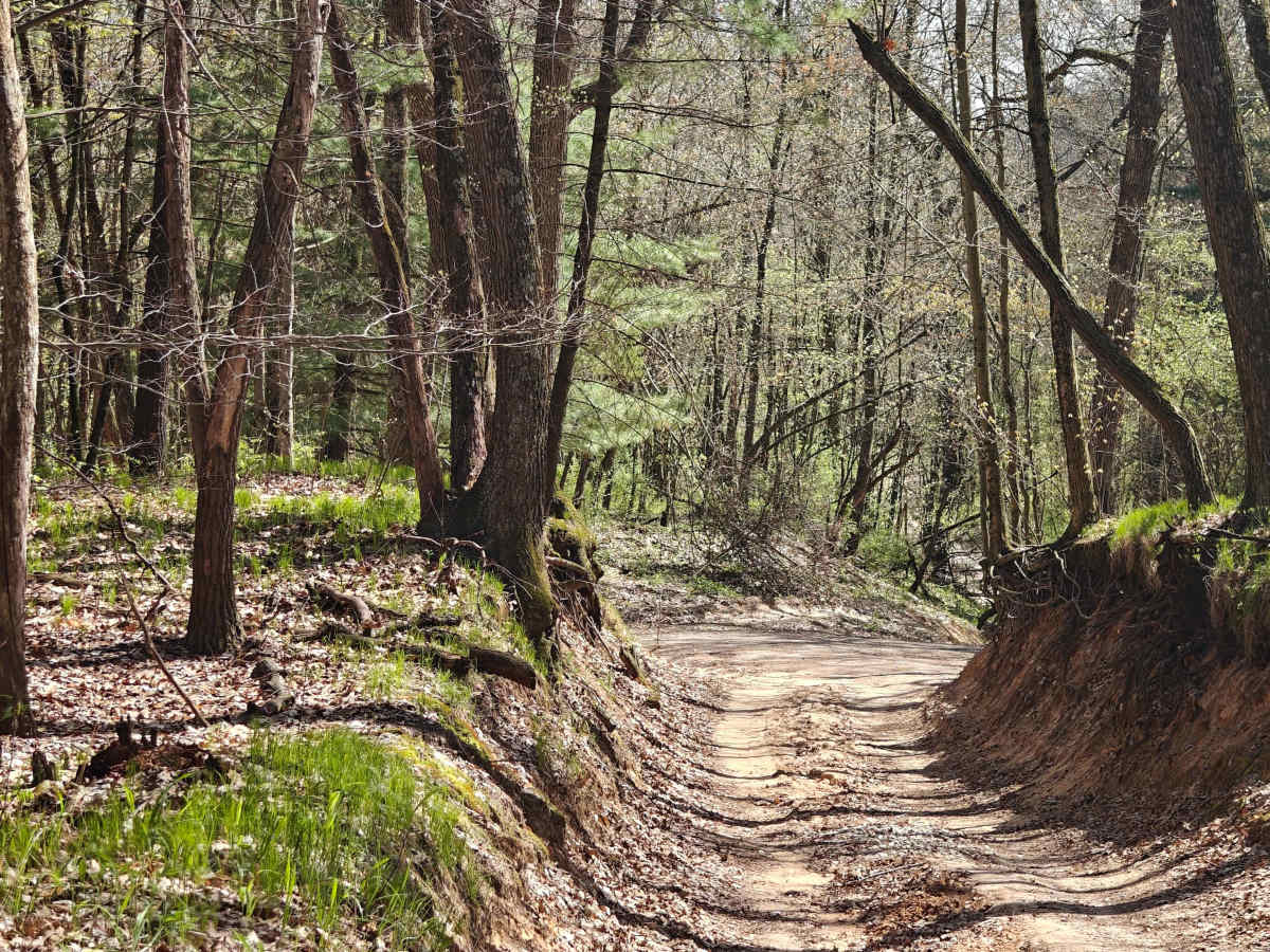 Middleville State Game Area photo 4