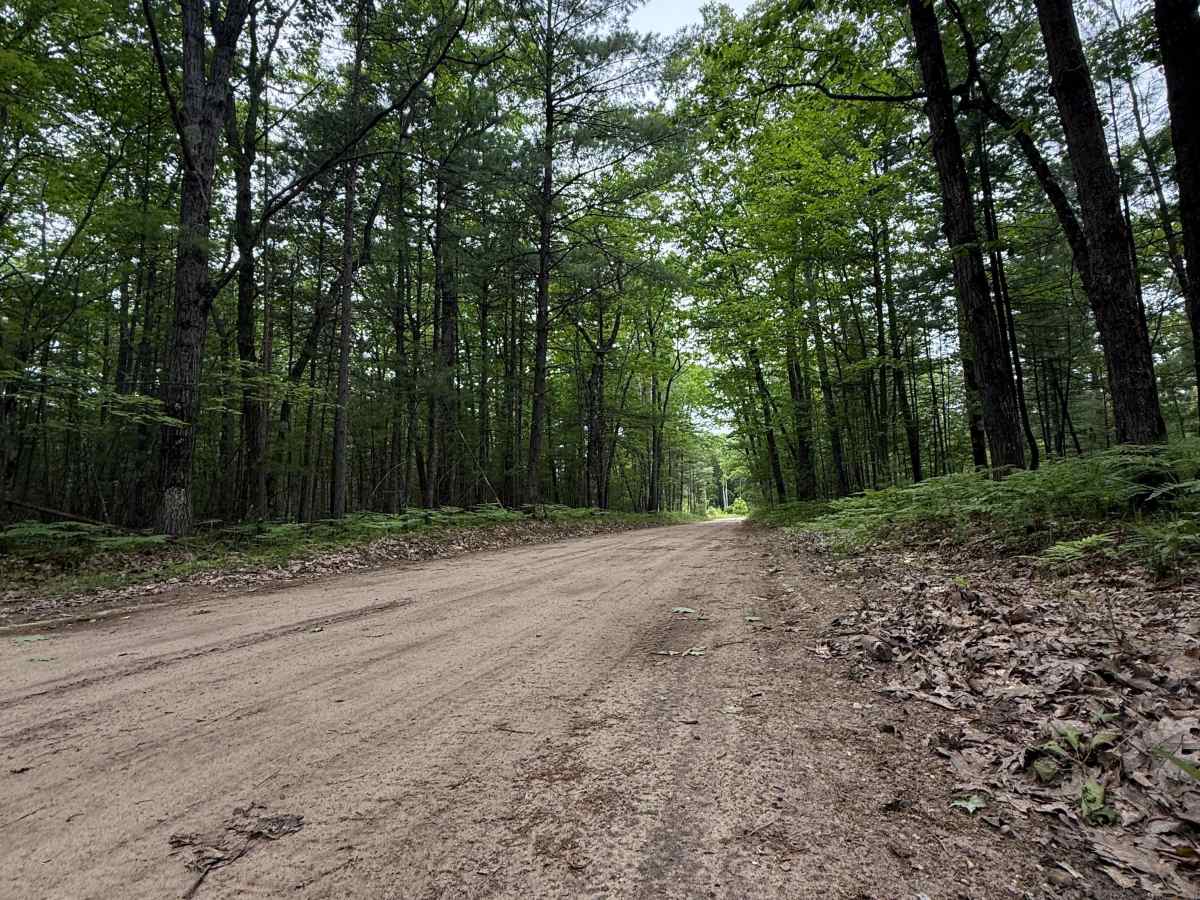 Brown Farm Trail photo 6
