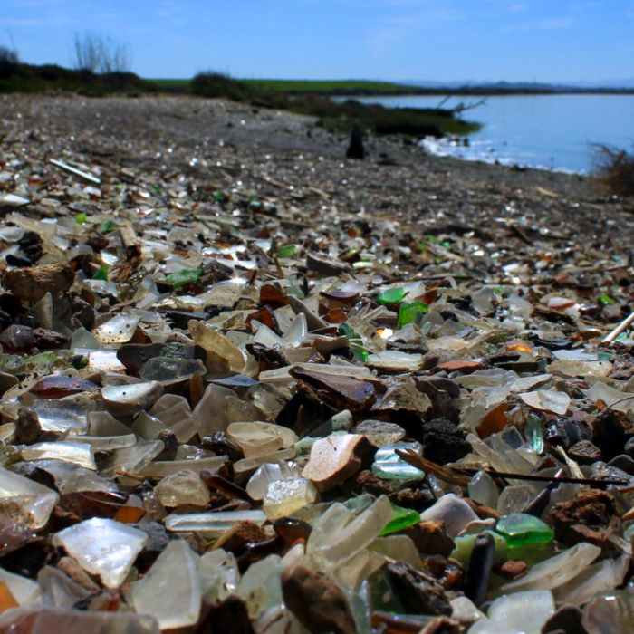 Near Napa River Bay Trail + Glass Beach
