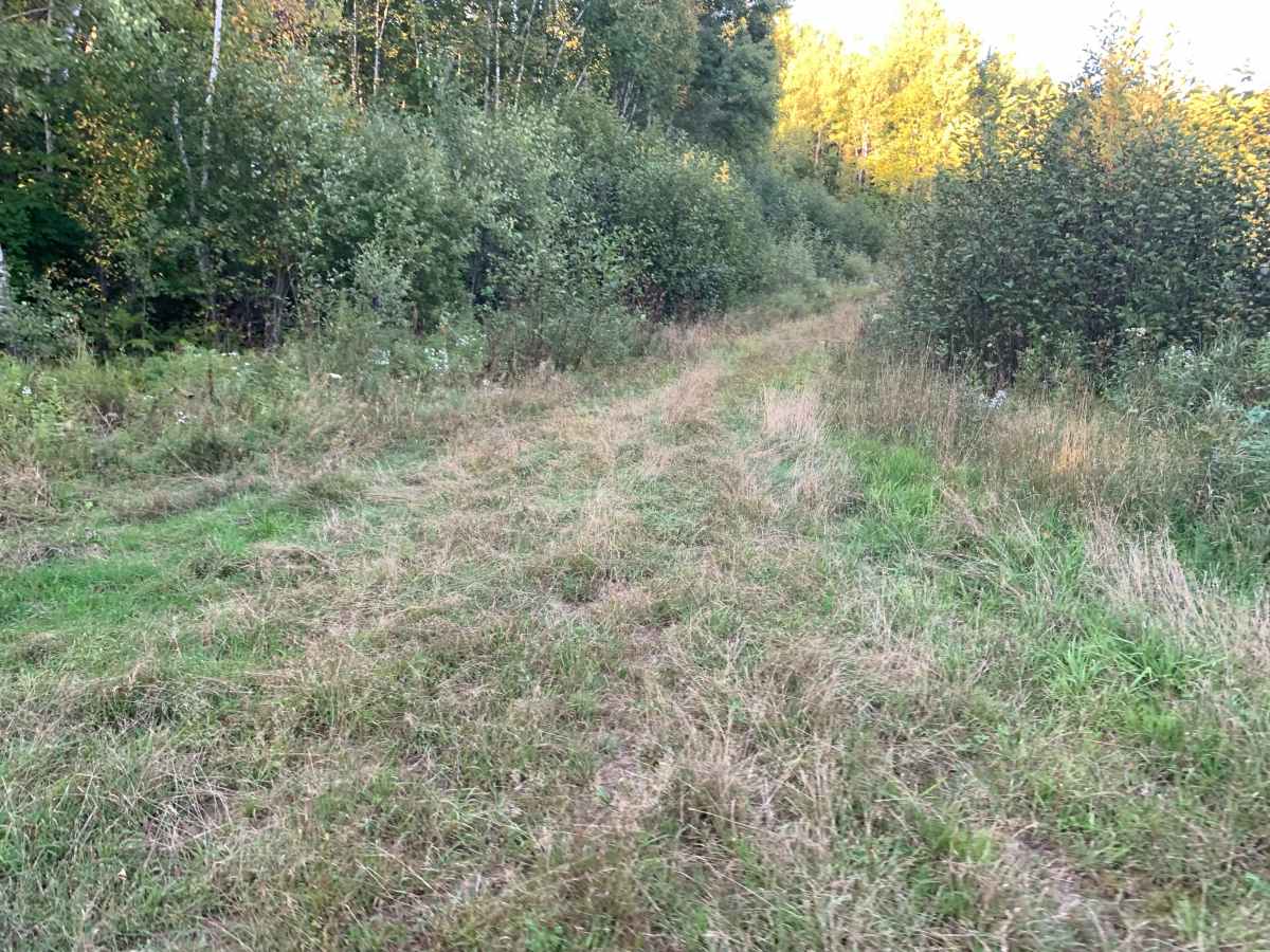 Kjostad Spur B - FS 609B photo 4