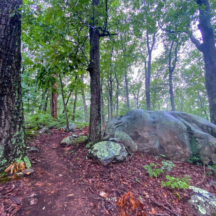 The fog squeezing in on the trail. Near Cane Creek Mountains Full Tour