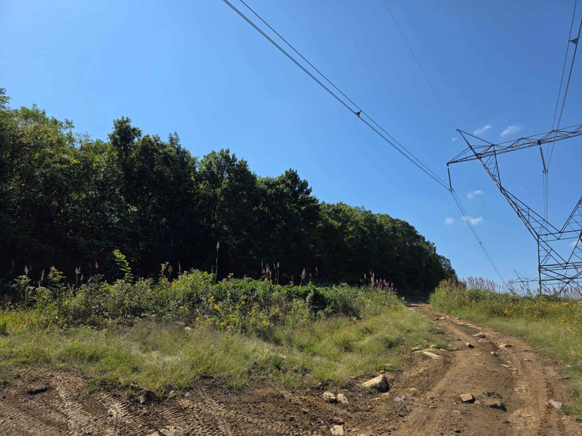 Power Line Trail  photo 4