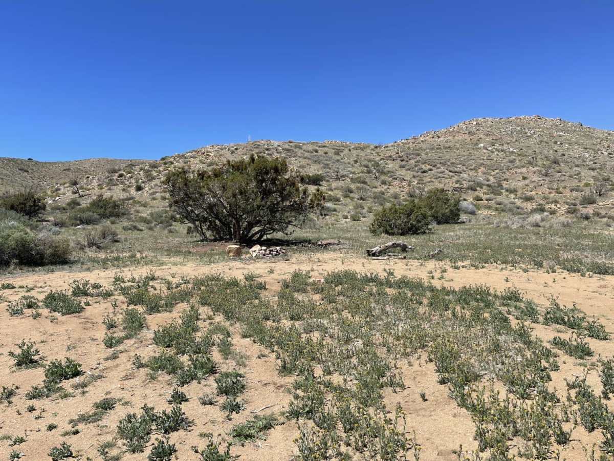 Juniper Flats Southern Access trail photo