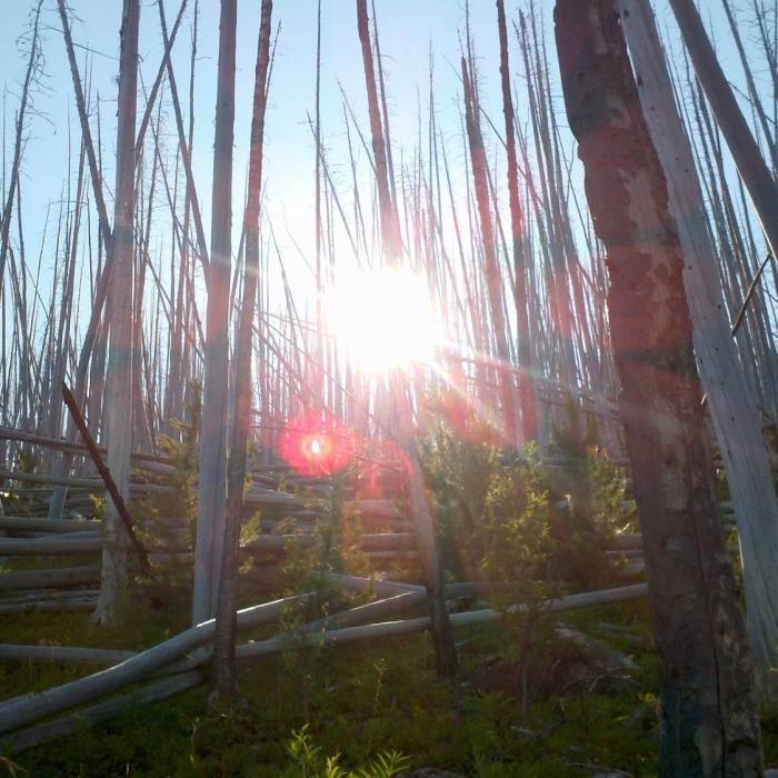 Near Kettle Crest North Trail #13