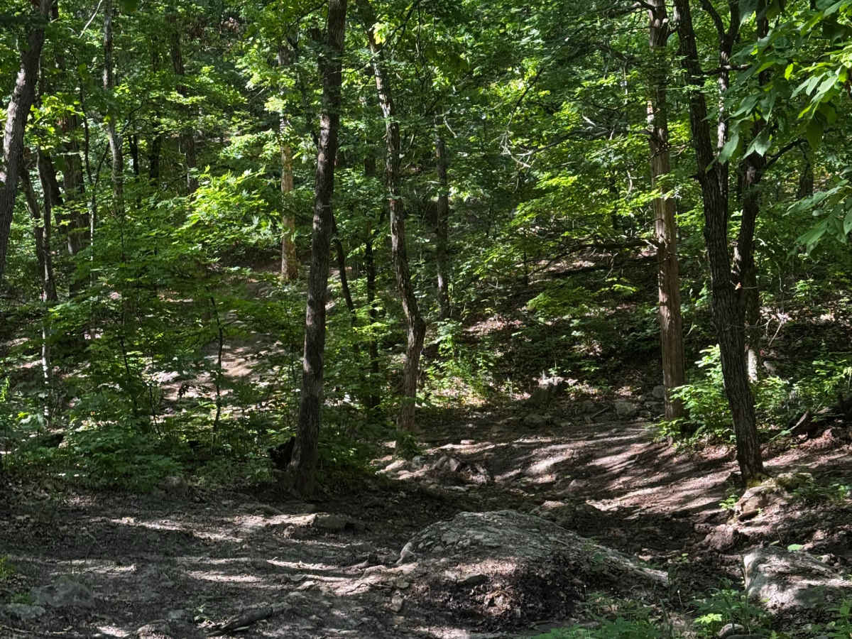 Inner Trail 15 photo 2