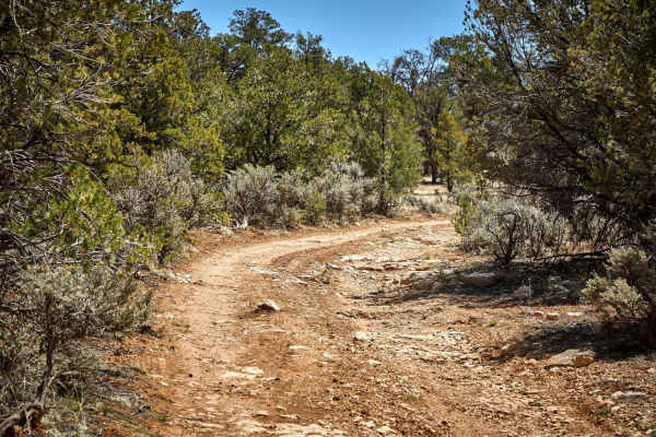 7 Mile Tank Road