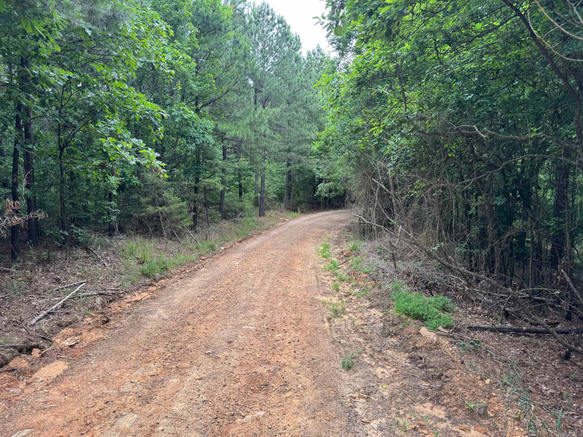 Bull Mountain trail photo