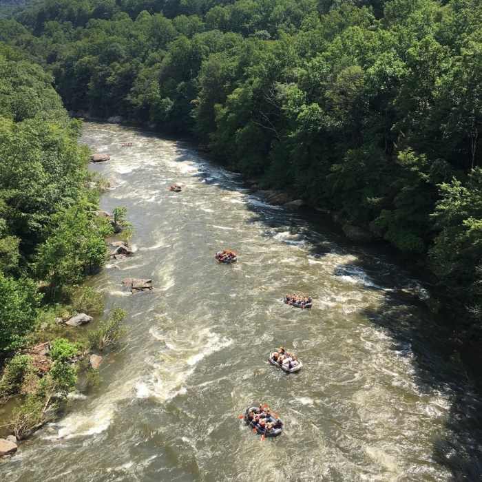 View of the Youghiogheny River from the Ohiopyle High Bridge, along the Great Allegheny Passage near Ohiopyle, Pa. Near Great Allegheny Passage