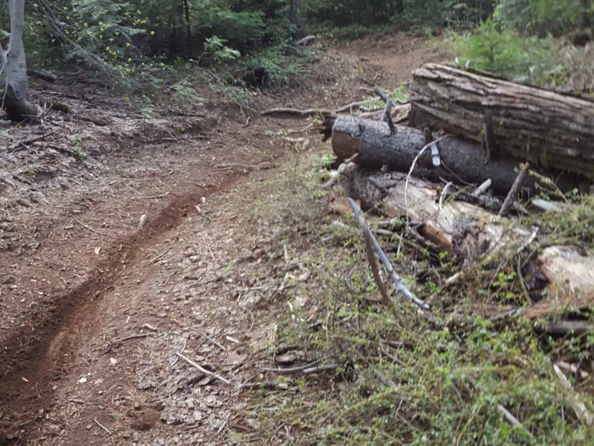 Browns Trail - FS 23E285 photo 6