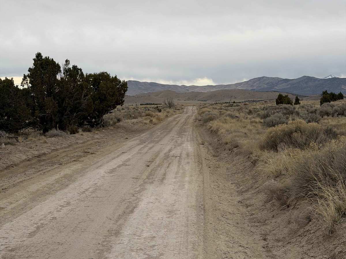 Shepherd Road photo 4