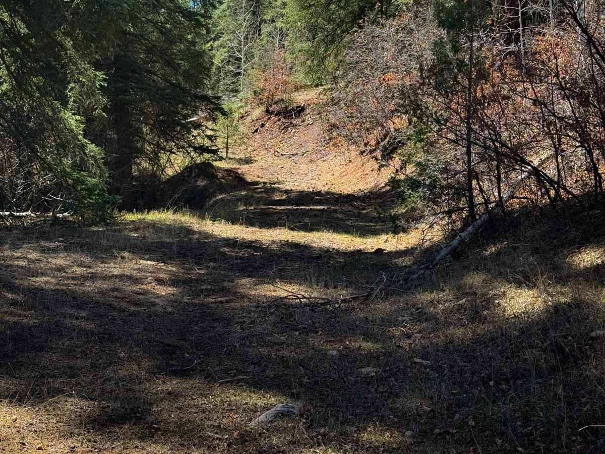 Ojelata trail photo
