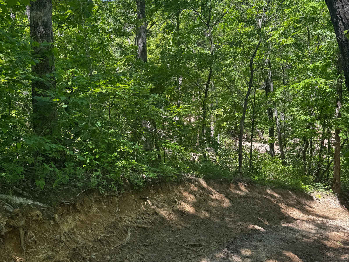 Death 4 Subaru trail photo