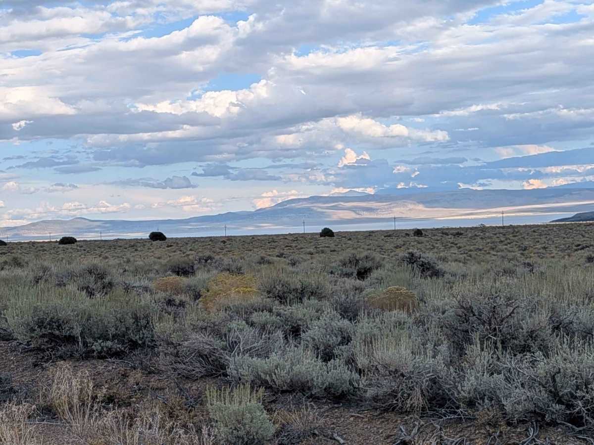 Goat Ranch Cutoff photo 3