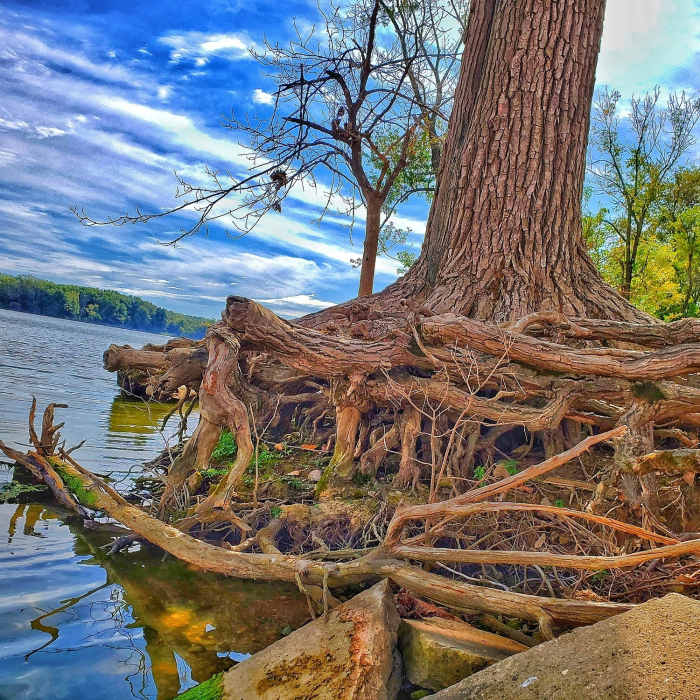 Near Lakeview Trail