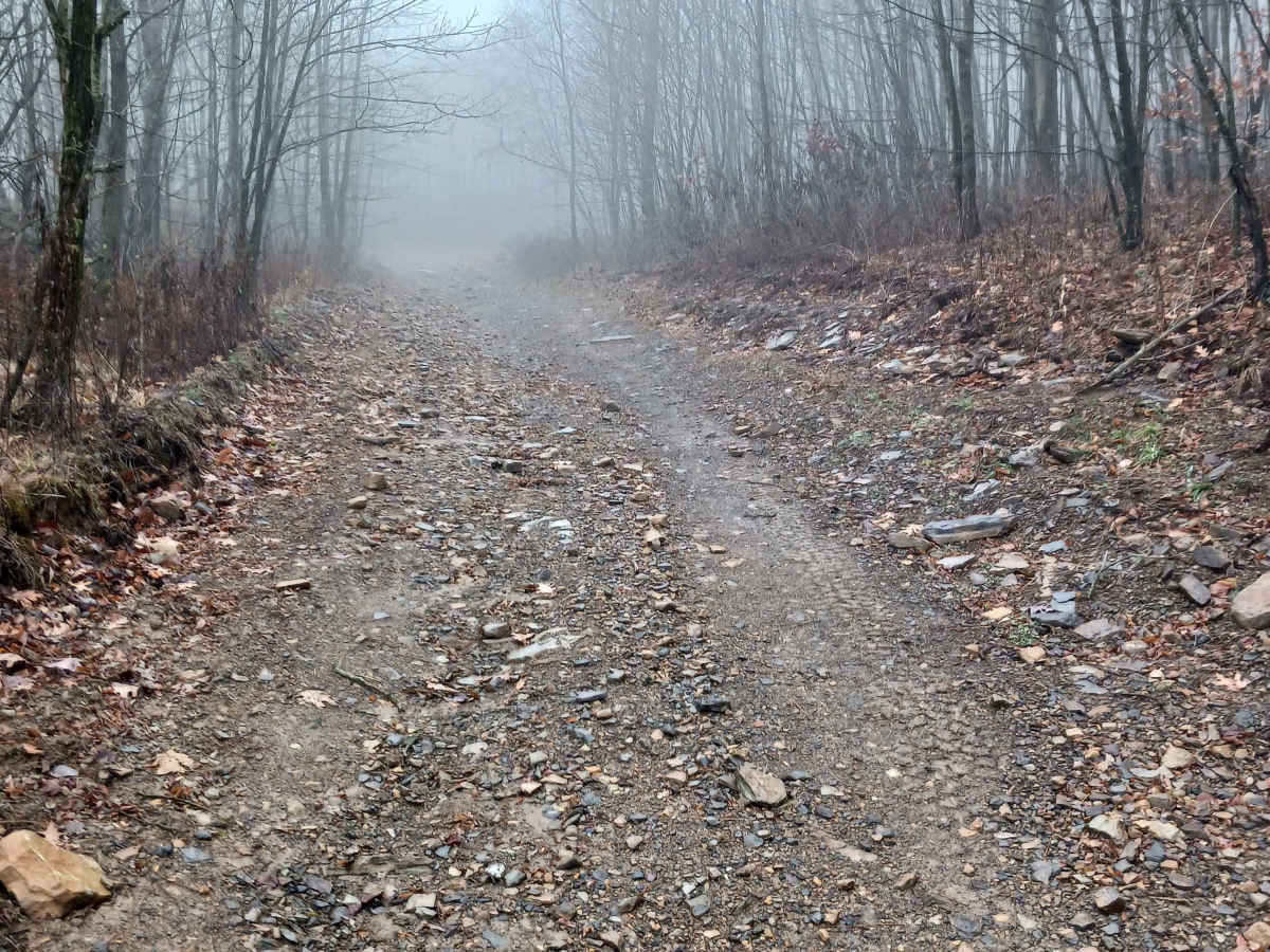 Boomerang - Rock Run Recreation Area trail photo